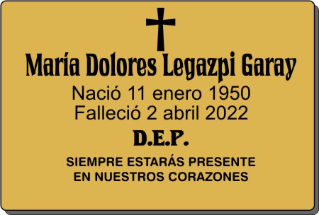 ir a la tienda