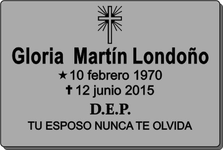 ir a la tienda